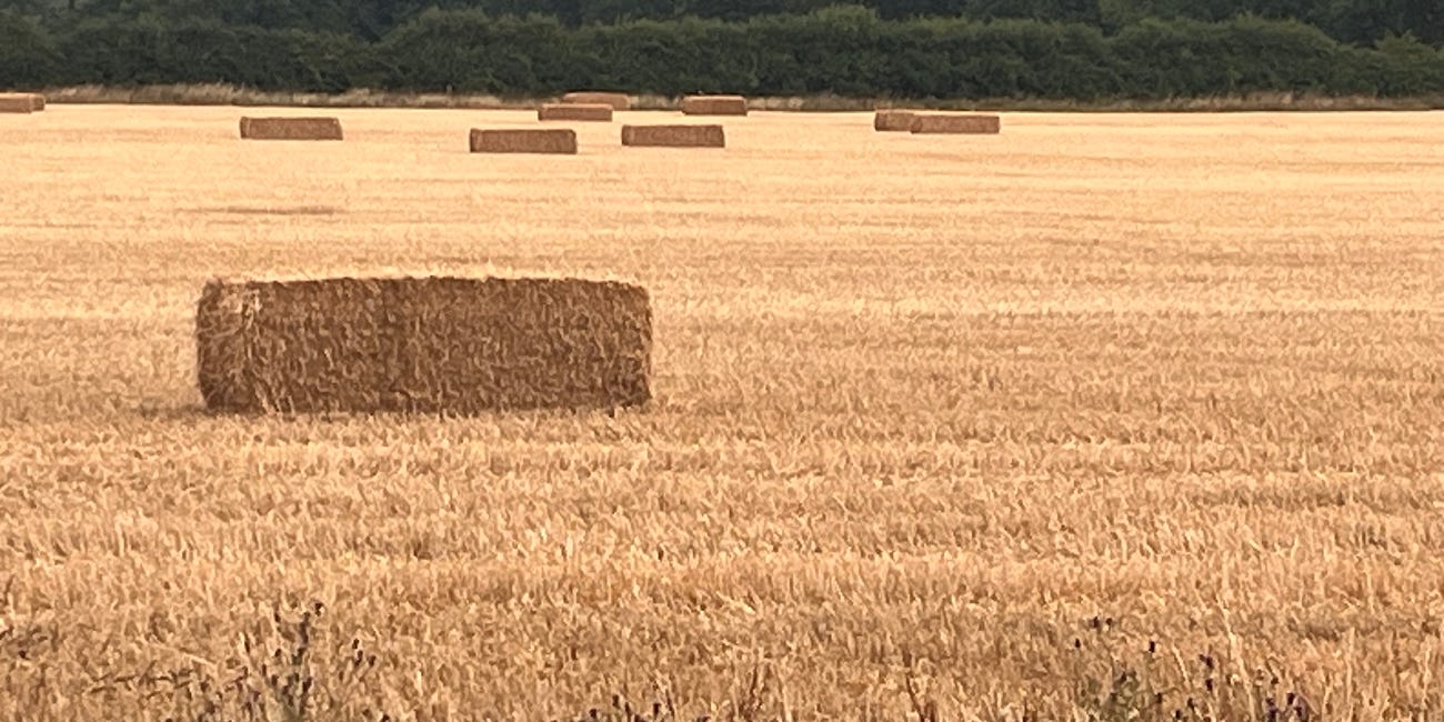Another Country Diary #66