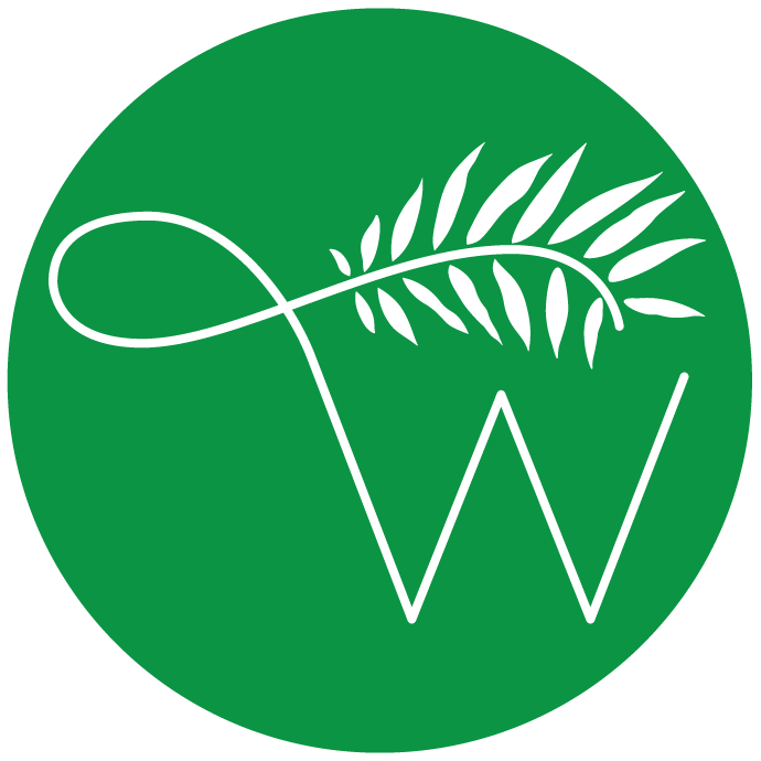 Willowwood Street Studio