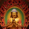 Escaping Samsara Substack