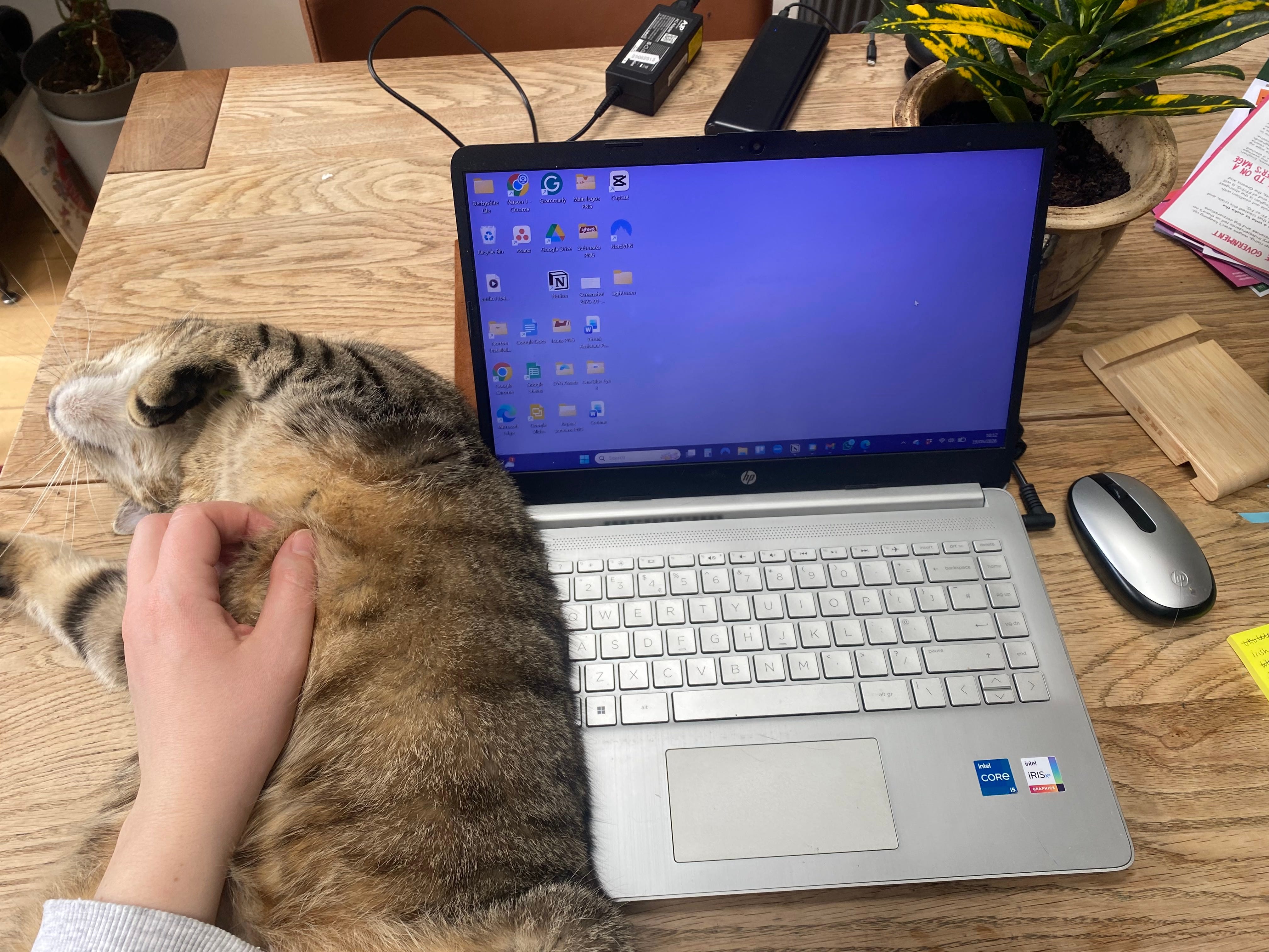This is one of my favourite things about house-sitting...