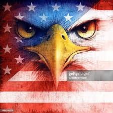 2,157 Eagle Scout Images Stock Photos ...