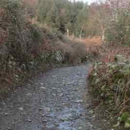 Along the Music Road 