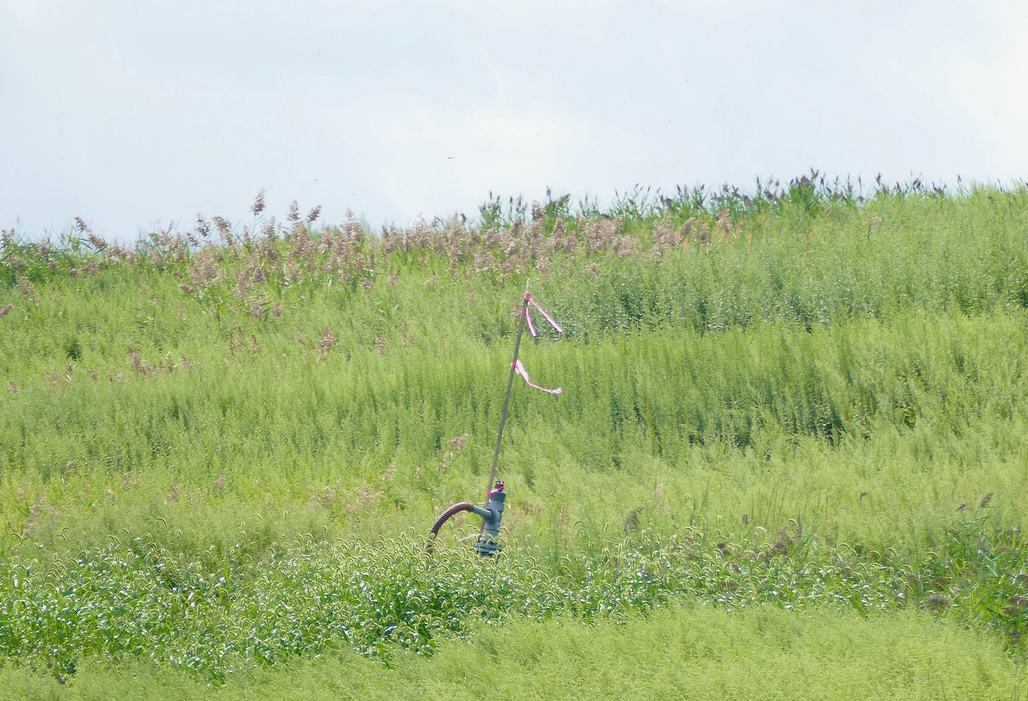 Landfill ventilation pipe sticking up out of prairie