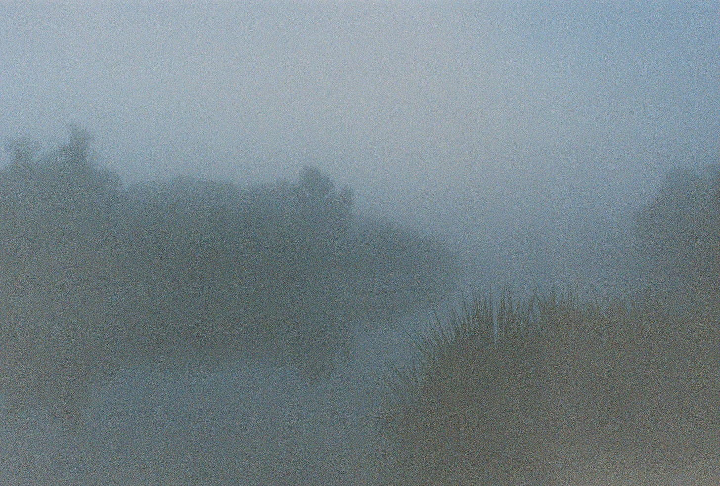 River cloaked in fog