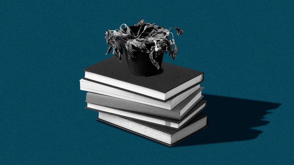 A shriveled plant on top of a stack of books A shriveled plant on top of a stack of books