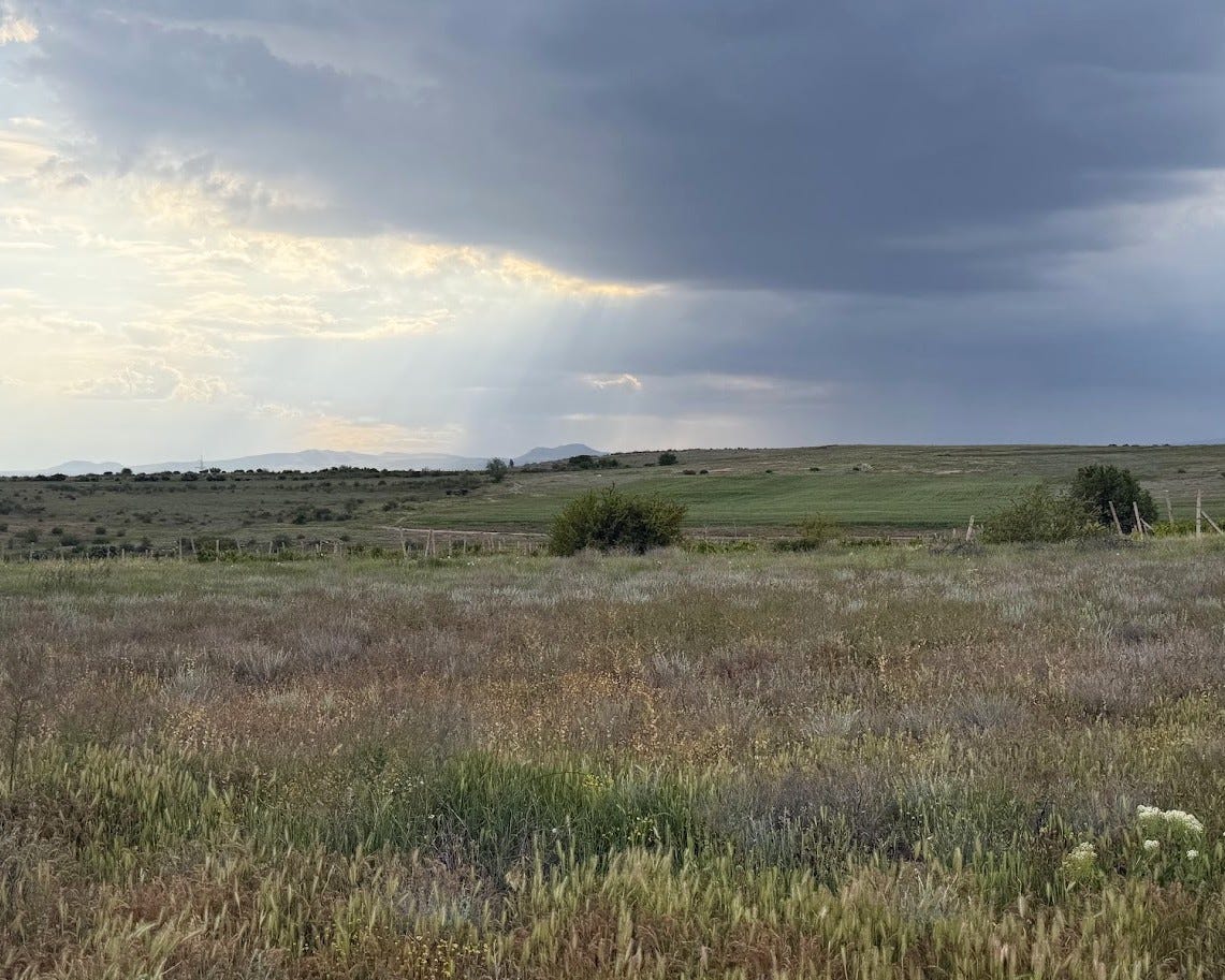 Storm clouds break with rays of sunlight over rolling green vineyards and grassy fields in Aragatsotn, Armenia, mountains visible on the horizon.