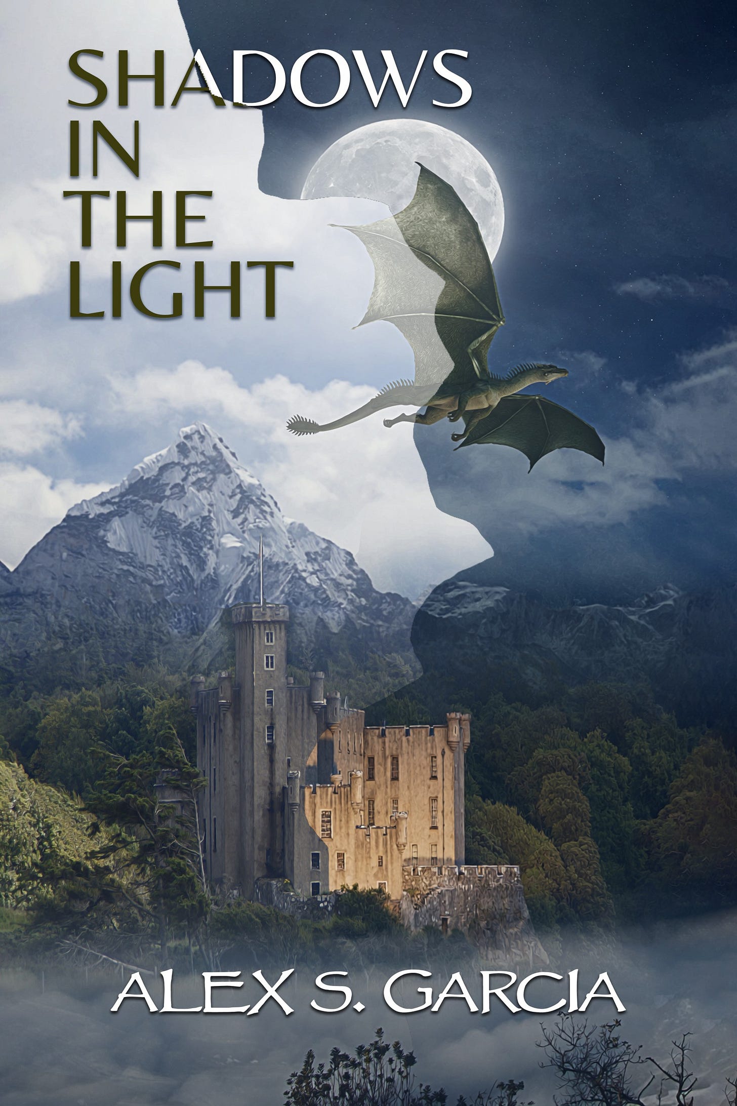 "Shadows in the Light," a collection of epic fantasy short stories and two novellas.