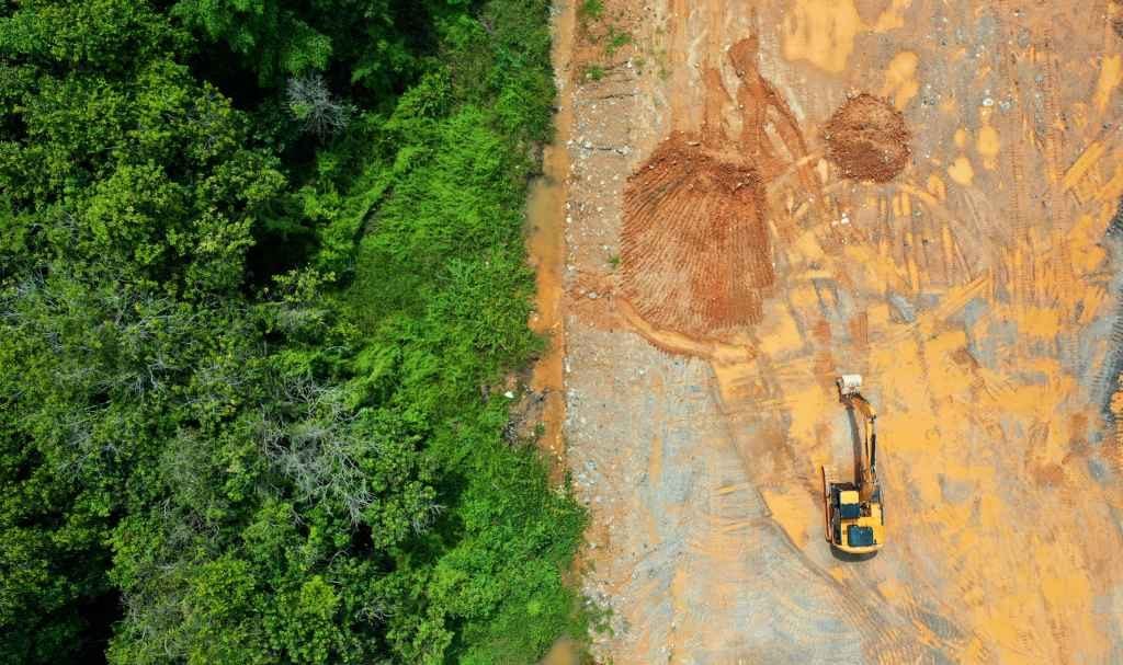 Carbon Emissions Skyrocket In Deforested Southeast Asia – Asian Scientist  Magazine