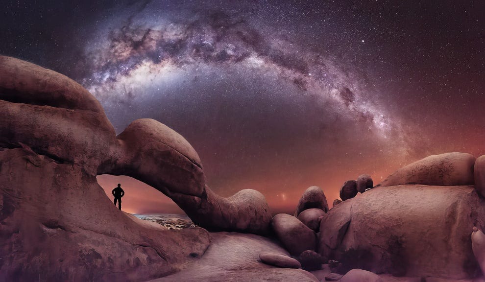 The Nature Photography Contest Winners 27