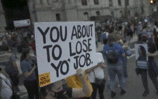 Celebration GIF by GIPHY News Celebration GIF by GIPHY News