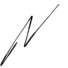 Nick Verhagen - Perspectives on Past, Present and Future