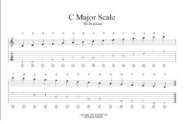 cmajor