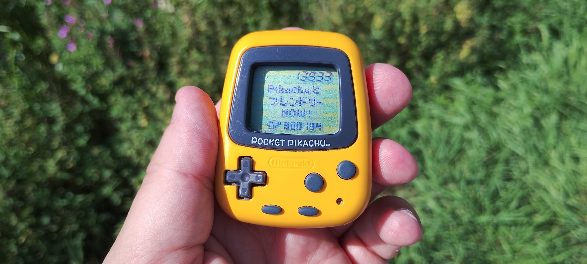 Pocket Pikachu: The One Million Steps Challenge