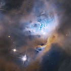 A Thomistic Philosophical Anthropology (Part 2)