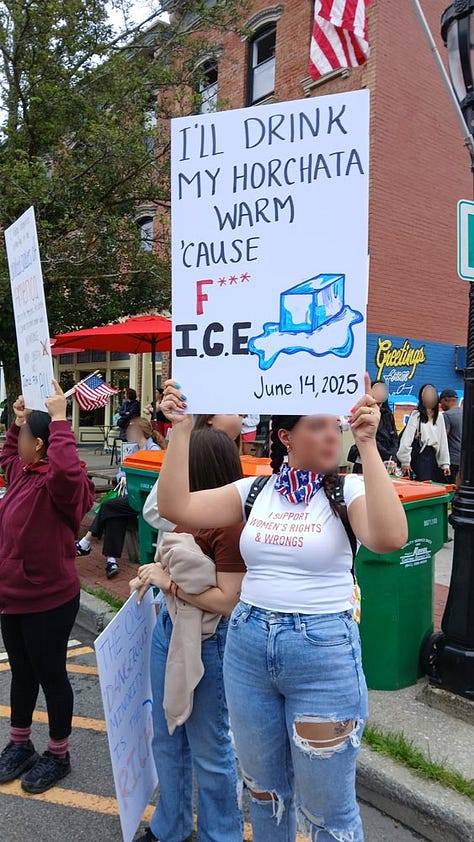 No Kings Day Protest 6/14 Beacon, NY