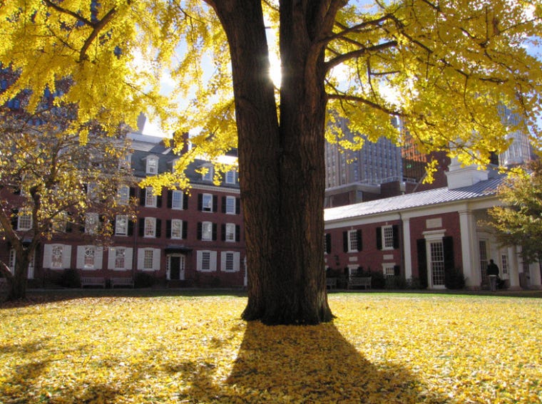 Spaces | Timothy Dwight College Spaces | Timothy Dwight College