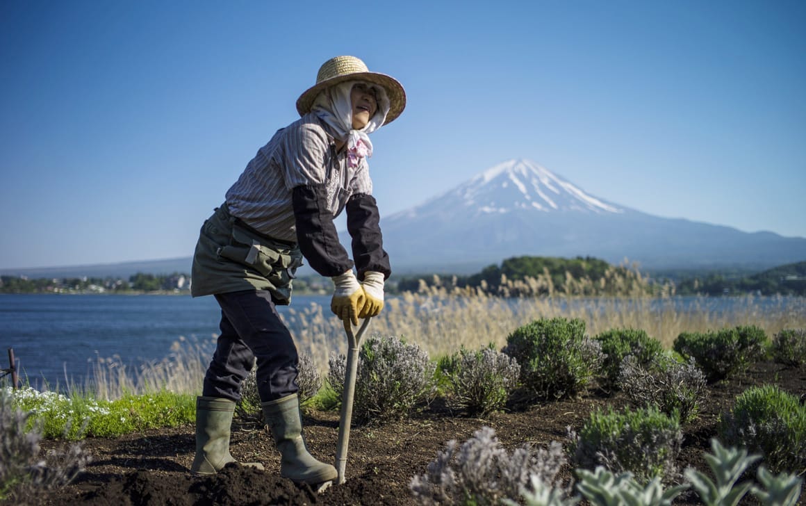 Fate of EU trade deal hangs on Japan's elderly farmers – POLITICO