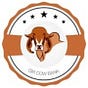 Gir Cow Bank's avatar