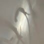 Samantha Morgan's avatar