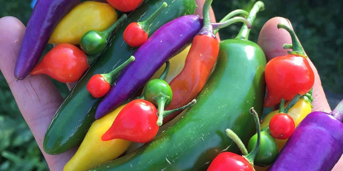 Hot Peppers For Health