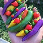Hot Peppers For Health