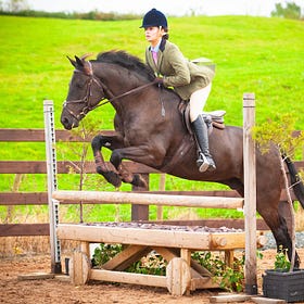Katie and 'Darkies Boy' take Pony Champion at Hagans Croft Working Hunter