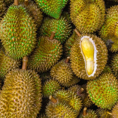 Puno ni Durian \ud83c\udf33