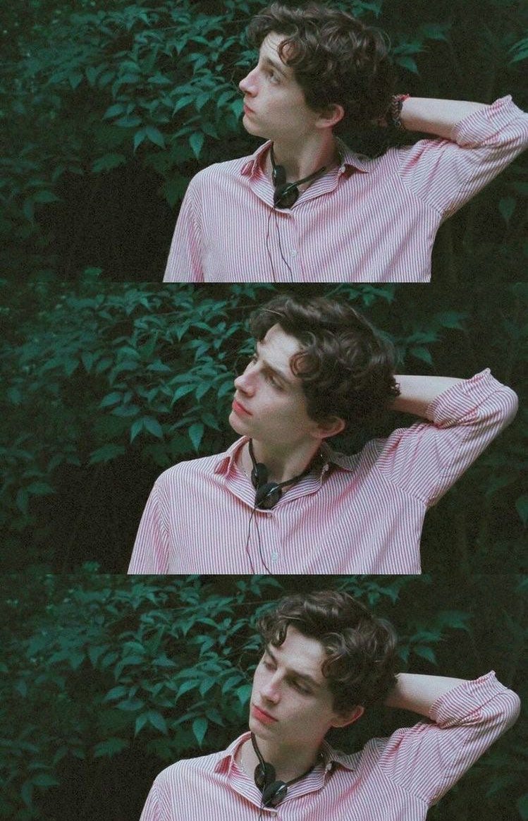 Timothée Chalamet wearing strioes in Call me by your name