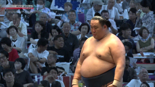 t*i様 SUMOSTOMP SUMO COMP & SUMO PRE 2025 Nagoya Basho: Day 7 results and analysis
