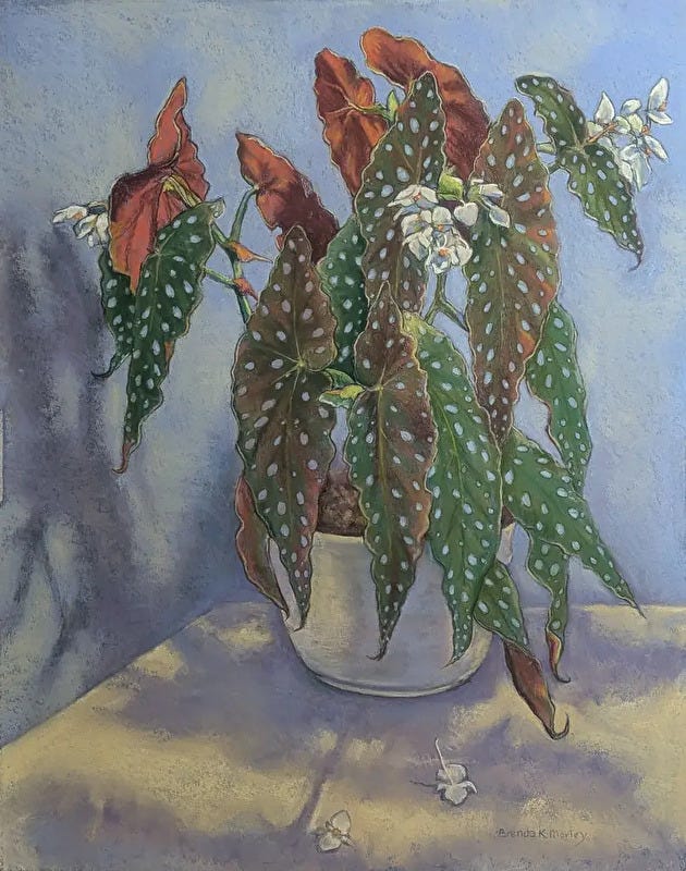 Image 6451672 Image 6451672