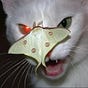 candlebytheocean's avatar