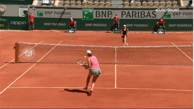 nice volley exchange nice volley exchange