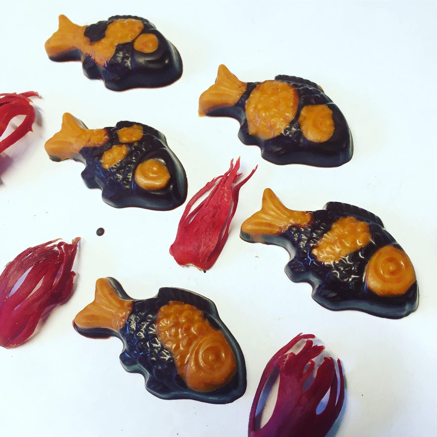 mace spice chocolate fish mace spice chocolate fish