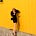 Maria Papacostas's avatar