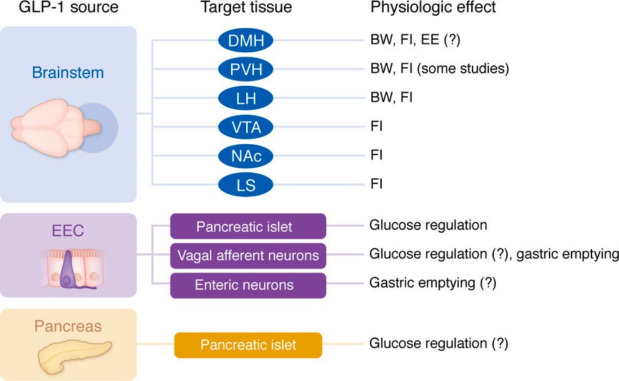 Overview of the physiologic sources, targets, and proposed function of G...