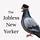 The Jobless New Yorker
