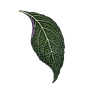 Marga Laube's avatar