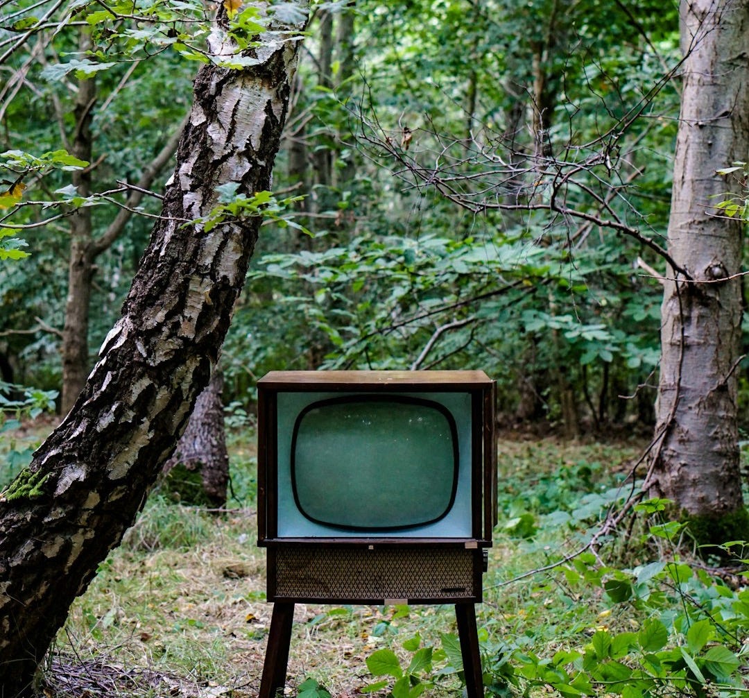 grey CRT monitor beside trees