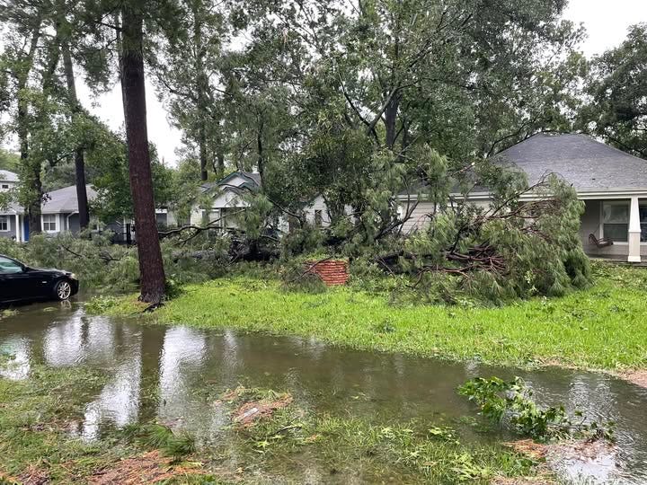 No photo description available. No photo description available.