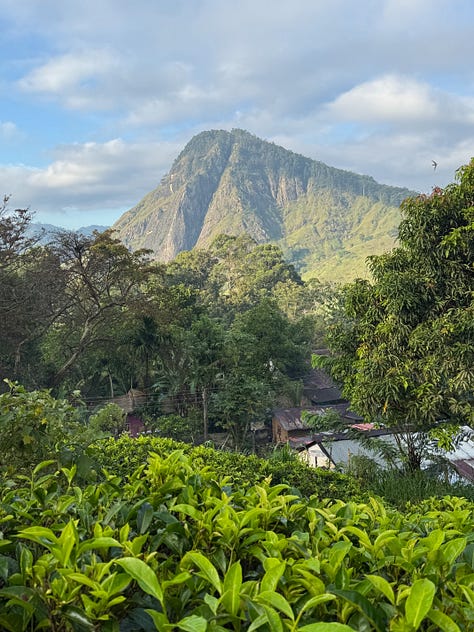 mountain pictures