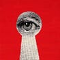 Through the Red Tape's avatar