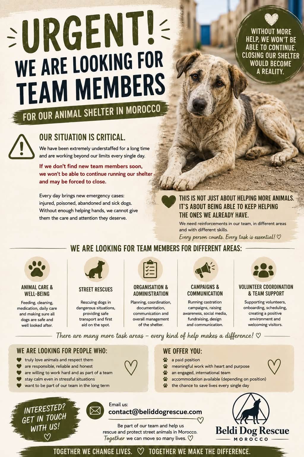Paid Animal Care Positions in Morocco