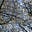 Notes from a Liminal Space.'s avatar