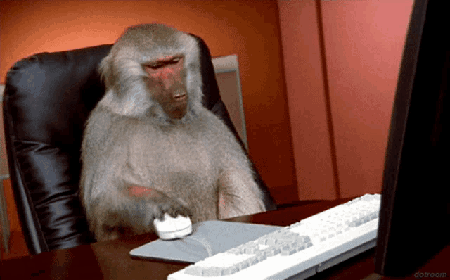 Monkey Laptop GIF - Monkey Laptop Bored GIFs