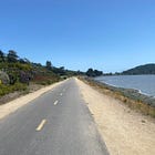 Beyond the Binary: Leadership Development Coaching, Therapy, and the Space In Between