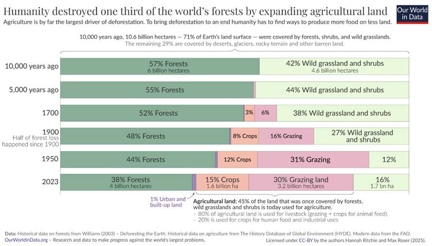 A screenshot of a newspaper

AI-generated content may be incorrect.