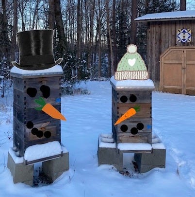 bee hives in snow decorated like snowmen