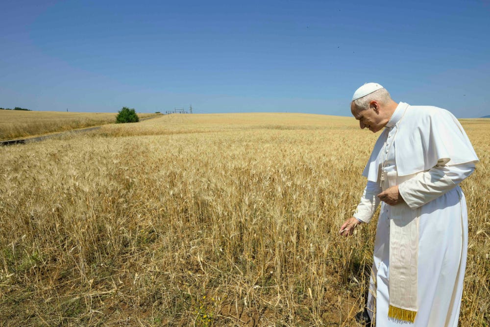 Pope Leo XIV walks a wheat field at Santa Maria di Galeria outside Rome, June 19, 2025 Pope Leo XIV walks a wheat field at Santa Maria di Galeria outside Rome, June 19, 2025