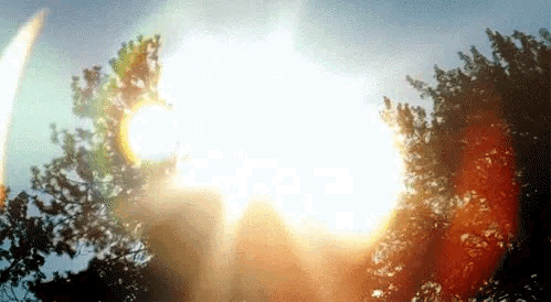 This may contain: the sun is shining through some trees in the background, and it appears to be very blurry