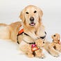 Kid the Facility Dog's avatar